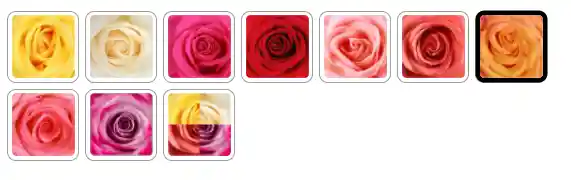 Bouquet Roana Color Amarillorojo X 12 Rosas