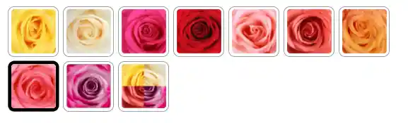 Bouquet Roana Color Blancorojo X 18 Rosas