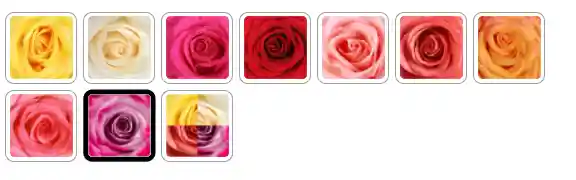 Bouquet Roana Color Lila X 12 Rosas