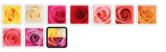 Bouquet Roana Color Lila X 18 Rosas