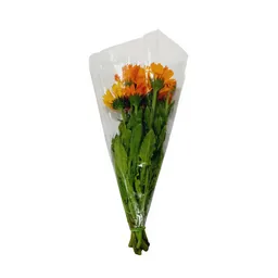 Calendula