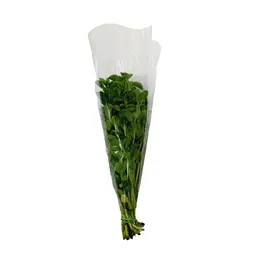 Menta