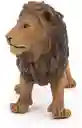 León Figura Animales Pintado A Mano Niños Adultos