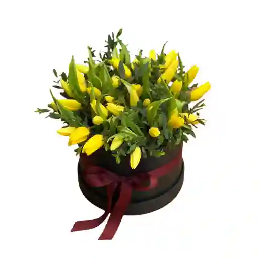 Arreglo Floral 30 Tulipanes Amarillos En Caja Sombrerera