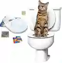 City Kitty Baño Para Gatos Entrenamiento A Baño Tv