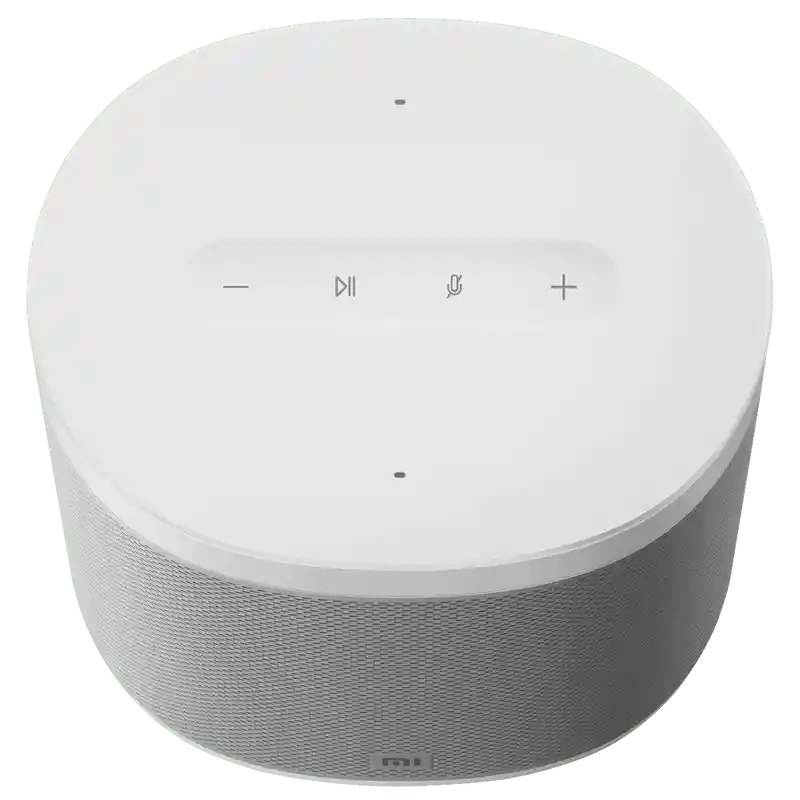 Mi Smart Speaker