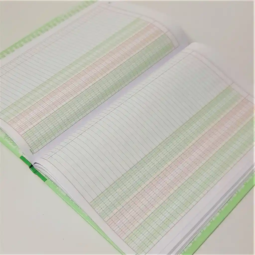 Libro De Contabilidad 100 Folios