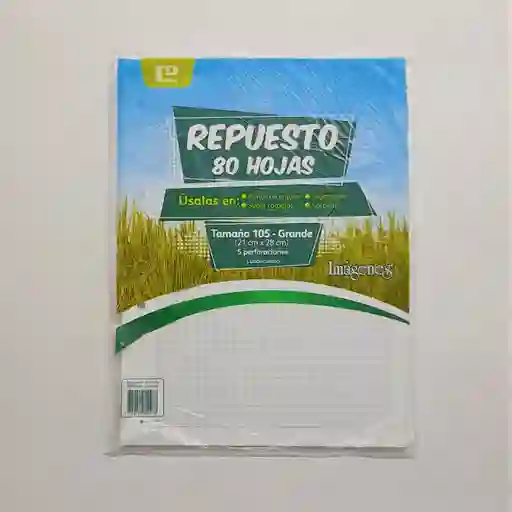 Repuesto Folder Cuadriculado