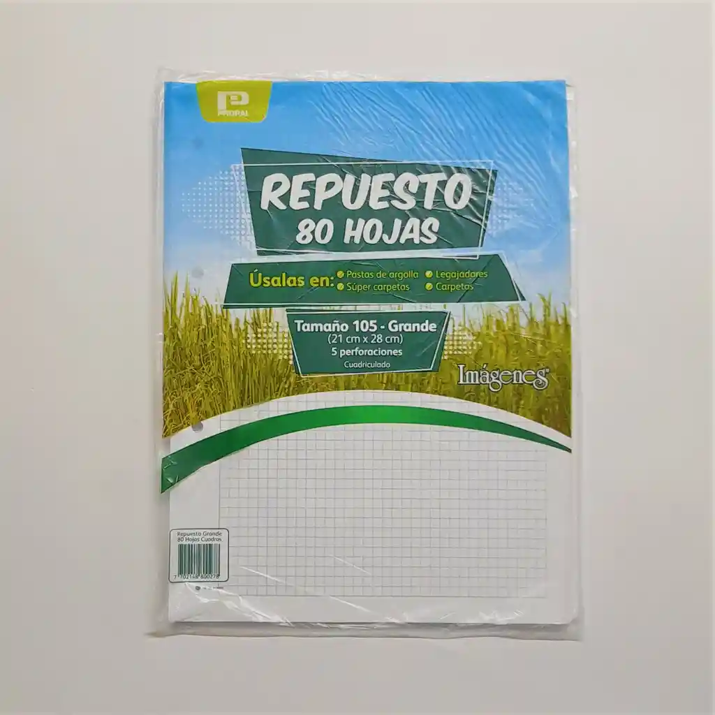 Repuesto Folder Cuadriculado