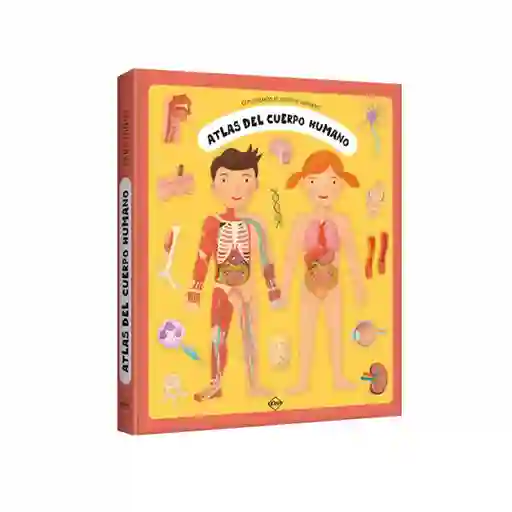 Atlas Ilustrado Del Cuerpo Humano