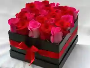 Caja X25 Rosas