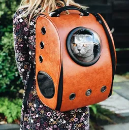 Maletin Para Mascota Con Capsula En Burbuja