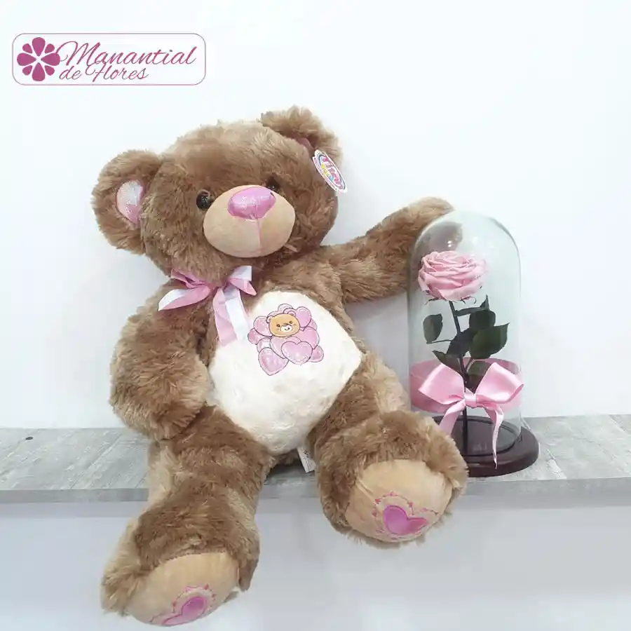 Rosa Preservada Con Peluche