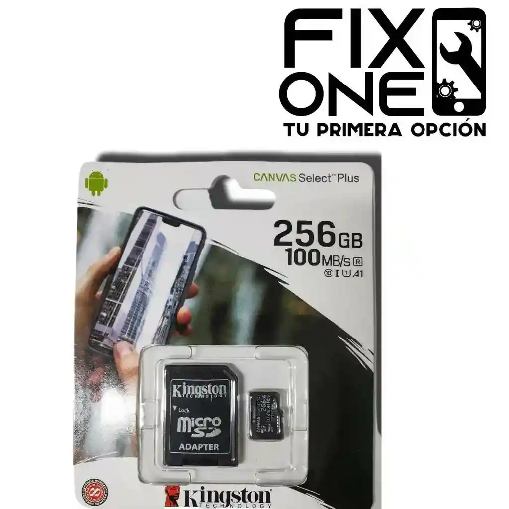 Memoria Micro Sd 256gb