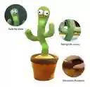 Pop Cactus Bailarin + Pushit Sensacional Promocion