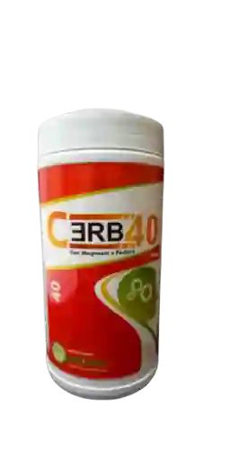 Cerb40