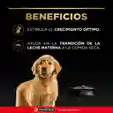 Comida para Perros cachorros razas medianas Purina Pro Plan x 17,5 kg