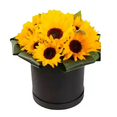 Caja Con Girasoles