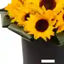 Caja Con Girasoles