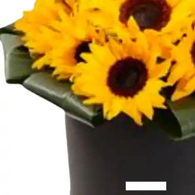 Caja Con Girasoles