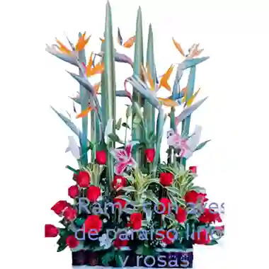 Ave Del Paraíso, Lirios, Rosas