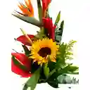 Flores Exóticas Colombia