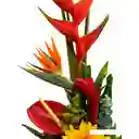 Flores Exóticas Colombia