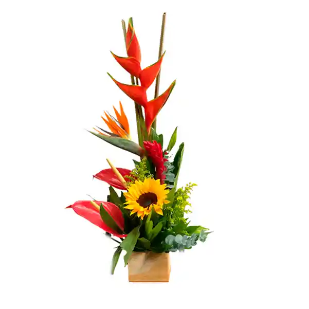 Flores Exóticas Colombia