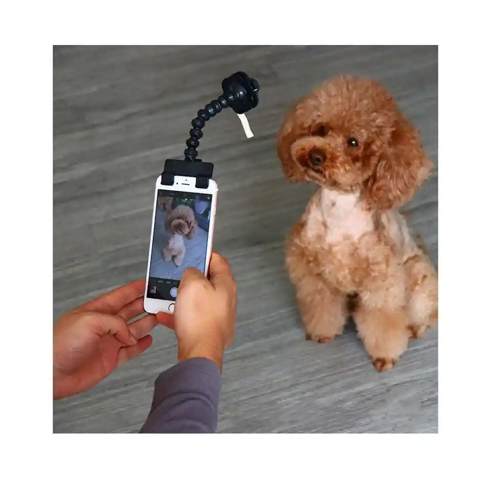 Palo Selfie Para Mascotas, Herramienta Fotos Perros Y Gatos