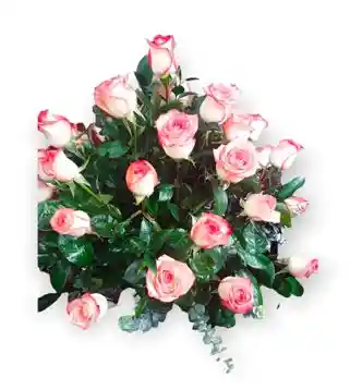 Bouquet Mi Rosa Blush