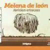 León Hericium Herinaceus Extracto De Melena De  Polvo X 100 Gms Invima