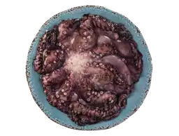 Pulpo Mexicano