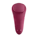 SATISFYER sexy secret panty vibrador app interactivo