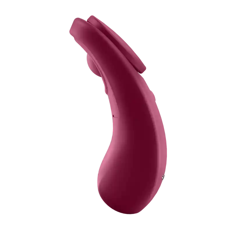 SATISFYER sexy secret panty vibrador app interactivo