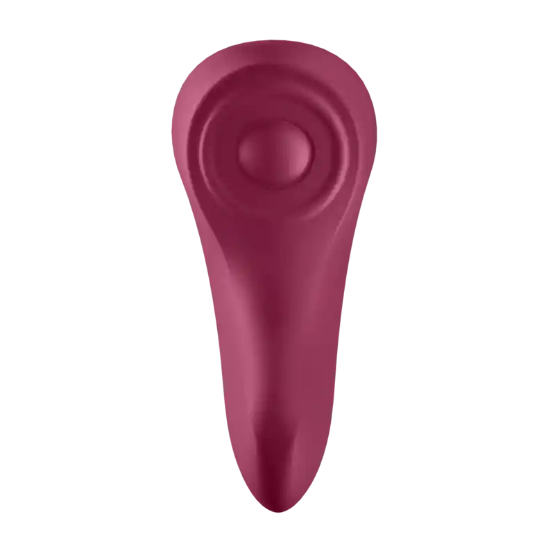 SATISFYER sexy secret panty vibrador app interactivo