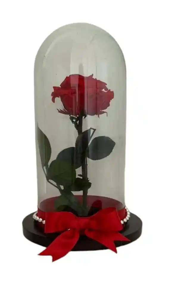 Flores Para Regalo, Rosa Roja Preservada En Cúpula De Cristal