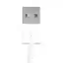 Cable Original Apple Usb A Conector Lightning De 1 Metro