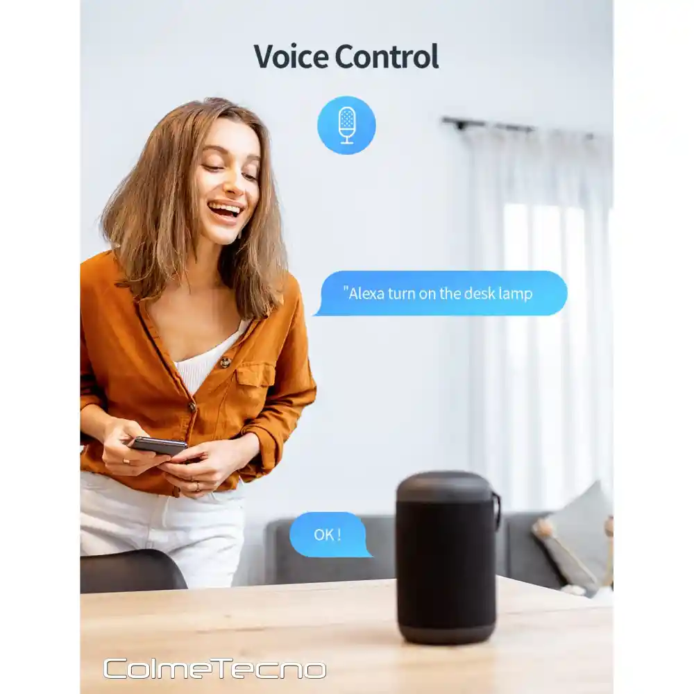 Enchufe Inteligente Wifi Control De Voz Alexa Google Asisten