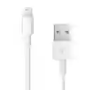 Cable Original Apple Conector Lightning A Usb De 2 Metros