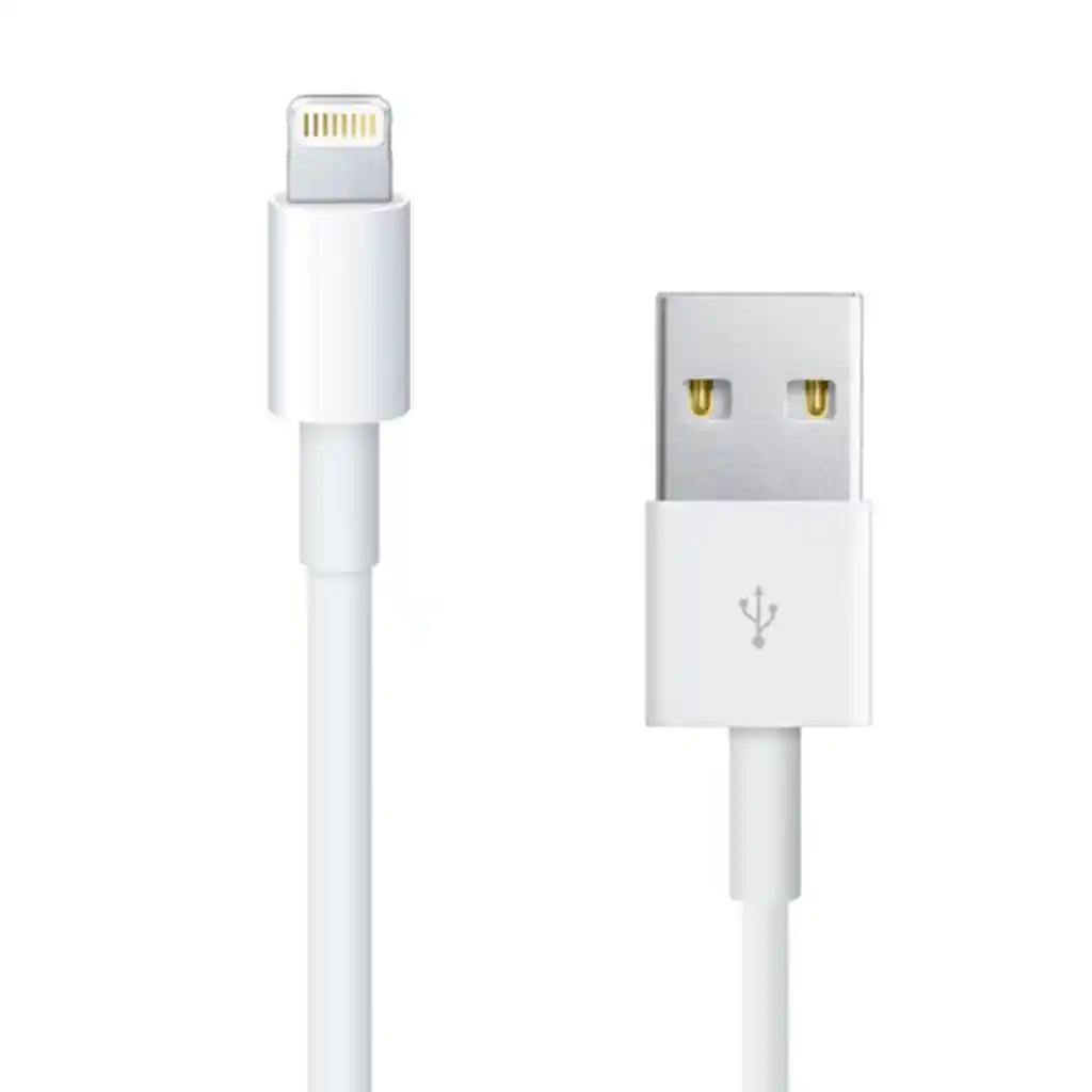 Cable Original Apple Conector Lightning A Usb De 2 Metros