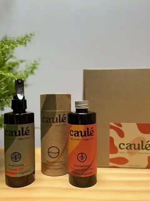 Kit Para Cuidado De Plantas Caulé