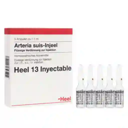 HEEL Arteria Suis Injeel Ampollas X 5