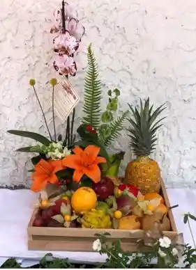 Orquídea Frutal