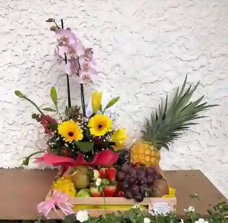 Orquídea Frutal Iii