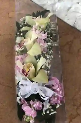 Caja De Orquideas Ii