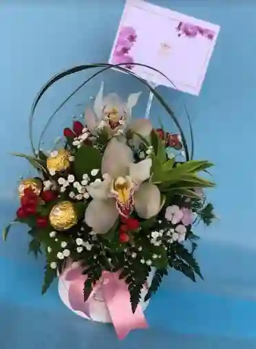 1orquideas Romance