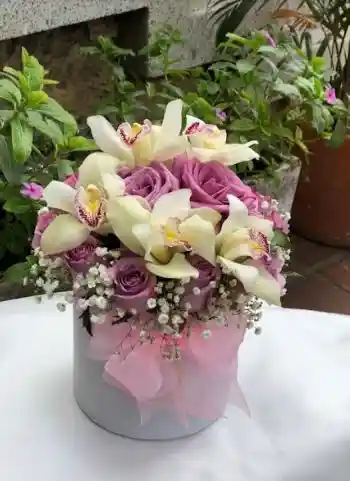 Rosas Y Orquideas