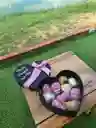 Caja Corazon Con Fresas