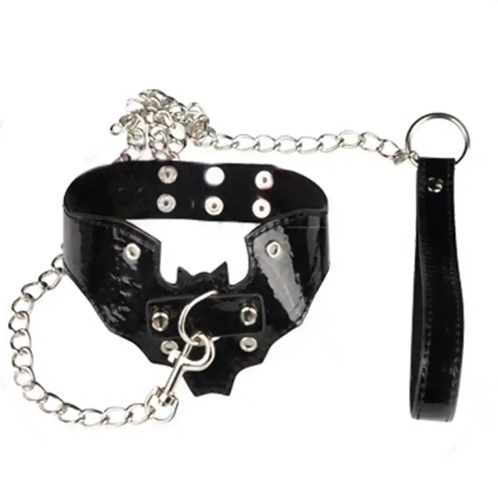 Collar Erotico Stan Camtoyz