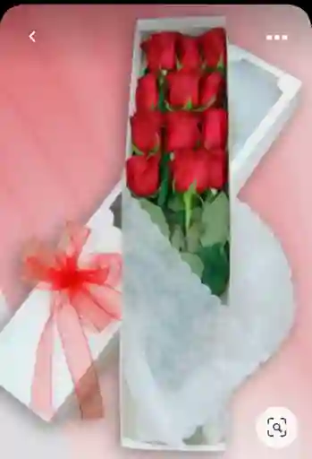 Caja X 12 Rosas